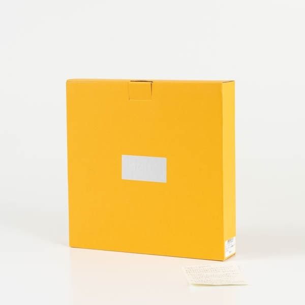 カメリア：プレート (23cm) ワインレッド. スガハラ Sghr 5枚 カメリア